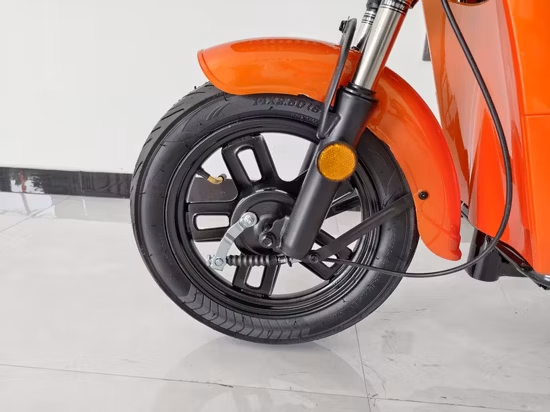 Bici elettrica OEM 48V 13ah 7 velocità 800W per adulti