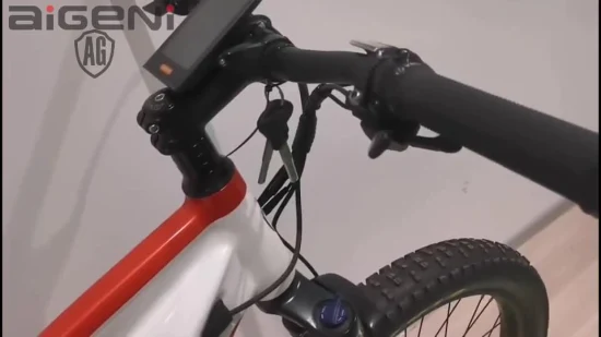 Bici elettrica fat tire ebike MTB con sospensione personalizzata da 27,5 pollici