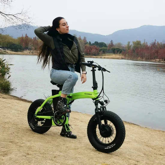 OEM per bicicletta elettrica per adolescenti Ebike Fat Tire da 19